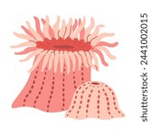 Sea anemones hand drawn. Pink Actiniaria. Exotic coral reef underwater nature life. Modern flat illustration. Vector illustration