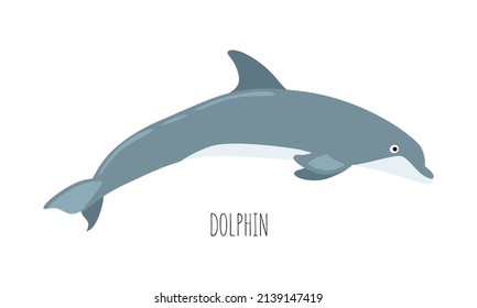 Sea animal, dolphin isolated on white background. underwater inhabitants. Flat vector cartoon