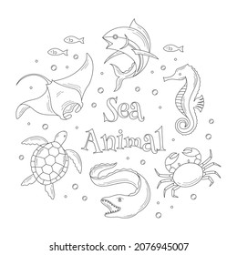 sea animal doodle line drawing coloring book