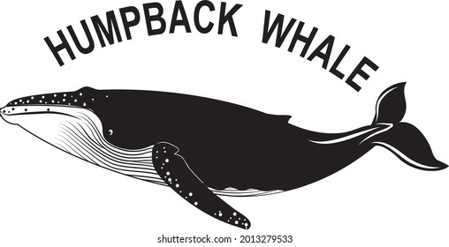 Sea Animal Humpback Whale Silhouette 