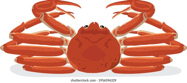 Sea animal illustration (crab) seafood