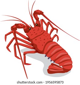 Japanese Lobster のイラスト素材 画像 ベクター画像 Shutterstock