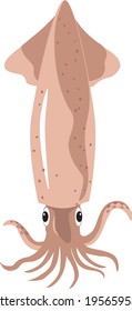 Sea animal illustration (squid) seafood