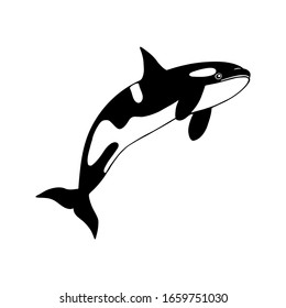 Sea animal killer whale. eps10 vector stock illustration. hand drawing