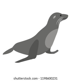 
A Sea Animal With Legs, Elephant Seal 
