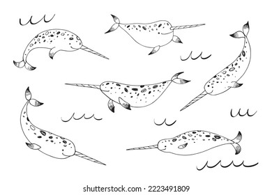 Sea animal narwhal vector illustrations set.