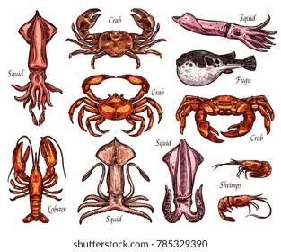 Sea animal and ocean fish sketches. Lobster, crab and shrimp, squid, prawn and exotic fugu fish isolated symbol of seafood delicatessen for fish market label and fishing sport design