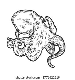 Sea animal, octopus. Sketch scratch board imitation. Black and white. Engraving vector illustration.