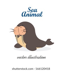 sea animal over white background vector illustration