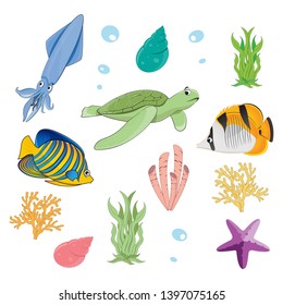 Sea animal, Saltwater animal, Under the sea