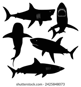 sea animal Shark silhouettes Vector illustration