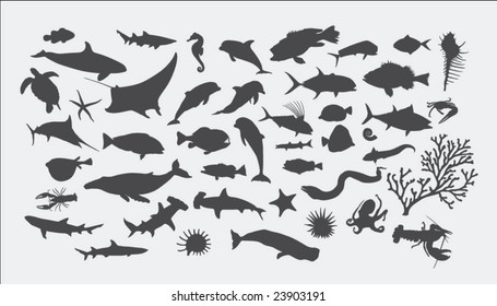 Sea Animal Silhouettes