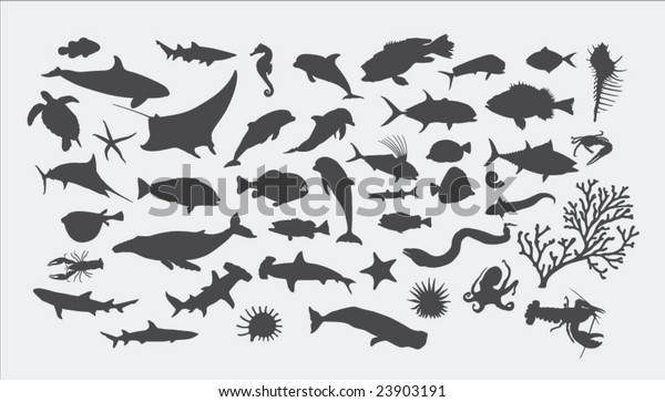 Sea Animal Silhouettes Stock Vector (Royalty Free) 23903191