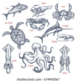 Sea animal sketch set with seafood and fish. Tuna, crab, octopus, shrimp, swordfish, squid and sea turtle isolated symbol for underwater wildlife, sea fishing, seafood and fish market design