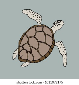 sea animal turtle isolated vector sketch on a blue background