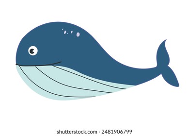  Sea animal whale with hand drawn sea life elements. Cute marine whale isolated on a white background, clipart. Cartoon ocean fish. 