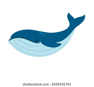 Sea animal whale isolated on white background. Underwater marine life. Vector illustration