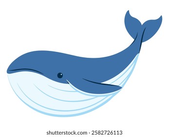 Sea Animal Whale Underwater Marine Life