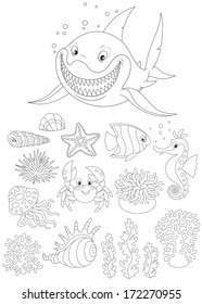 Sea animals