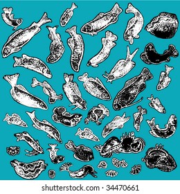sea animals