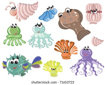 Sea animals