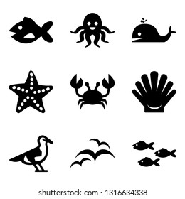 Sea Animals and Beach Seagulls