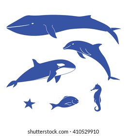 Sea animals, blue ocean or marine mammals and fish. 