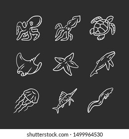Sea animals chalk icons set. Swimming octopus, starfish, squid, jellyfish. Marine aquarium. Whale, skate, turtle. Underwater inhabitants. Floating mollusk. Isolated vector chalkboard illustrations