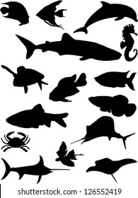 sea animals collection vector