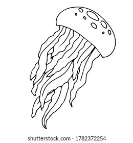 sea animals color cartoon for web and mobile design. vector illustration isolated on white background. jellyfish