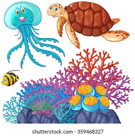 Sea animals and coral reef illustration