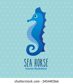 sea animals design, vector illustration eps10 graphic 