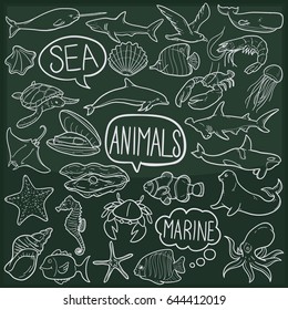 Sea Animals Doodle Icon Chalkboard Sketch