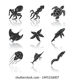 Sea animals drop shadow black glyph icons set. Octopus, squid, jellyfish. Marine aquarium. Whale, skate, turtle. Underwater world inhabitants. Floating mollusk and fish. Isolated vector illustrations