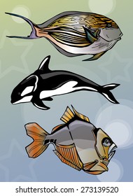 Sea animals, fish image design for postcard, poster, illustration and other decoration needs. 