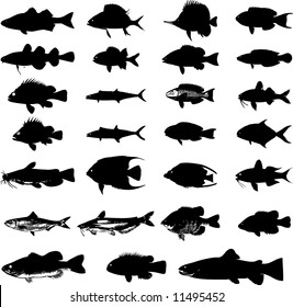 Sea animals fish silhouettes set