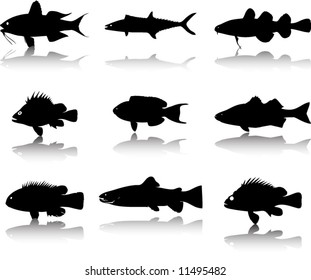 Sea animals fish silhouettes set