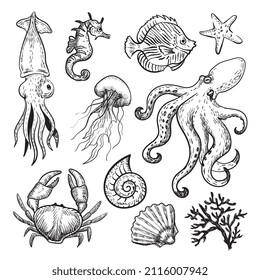 Sea animals graphic illustration in a linear style. Set in doodle style.