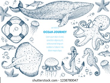 Sea animals hand drawn collection. Sketch illustration. Whale, cramp-fish, octopus, starfish, jellyfish, sea horse  illustration. Vintage design template. Undersea world.