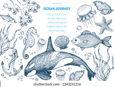 Sea animals hand drawn collection. Sketch illustration. Killer whale, sea horse, jellyfish, fish, seaweed, seashells illustration. Vintage design template. Undersea world.