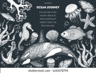 Sea animals hand drawn collection. Sketch illustration. Killer whale, sea horse, jellyfish, fish, seaweed, seashells illustration. Vintage design template. Undersea world.