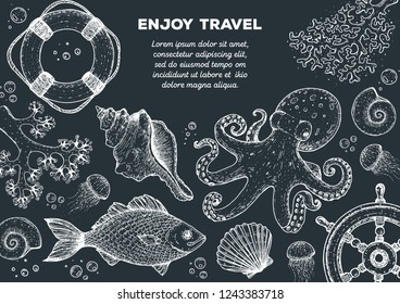 Sea animals hand drawn collection. Sketch illustration. Octopus, jellyfish, fish, seaweed, seashells, coral illustration. Vintage design template. Undersea world.