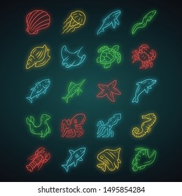Sea animals neon light icons set. Turtle, jellyfish, butterflyfish. Swimming mollusk and fish. Underwater wildlife. Ocean inhabitants. Aquatic creatures. Glowing signs. Vector isolated illustrations