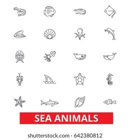 Sea animals, ocean creatures, dolphin, octopus, wild life, shark, whale, fish line icons. Editable strokes. Flat design vector illustration symbol concept. Linear signs isolated on white background