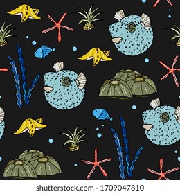 Sea animals  ocean seamless pattern. Shell aquarium background with fish, corral, shells, jellyfish, starfish and algae. Nautical marine illustration