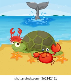 Sea animals on the beach illustration