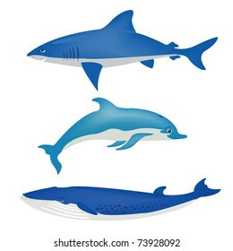 Sea animals on white background