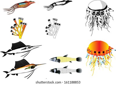 Sea animals and plants set