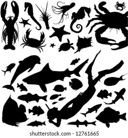 sea animals and scuba diving vector