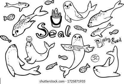 Sea animals - seals. Adults and little fur seals swim and play with balls and fish. Line vector illustration. Isolated, Ocean day